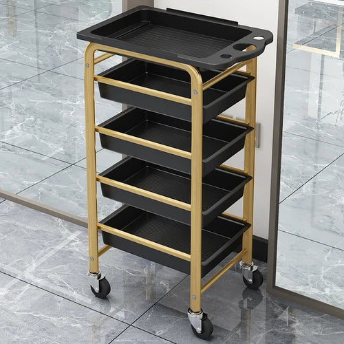 Hairdresser Beauty Salon Trolley Rolling Cosmetic Barber Spa Tattoo Salon Trolleyhair Wozek Narzedziowy Beauty Furniture WKST